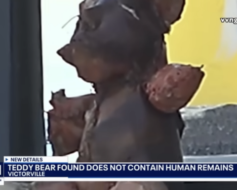 Scary teddy bear